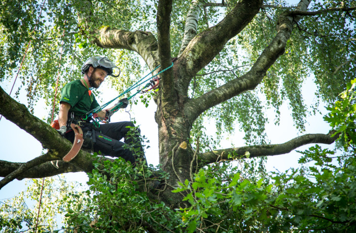 Beispielarbeit von galabauron - Ron Felix Tietz - veröffentlicht auf Gartenbau.org